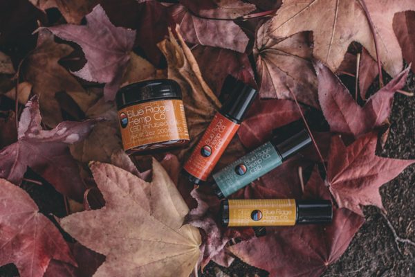 Autumn Lip & Balm Edit